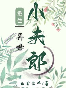 重生异世小夫郎